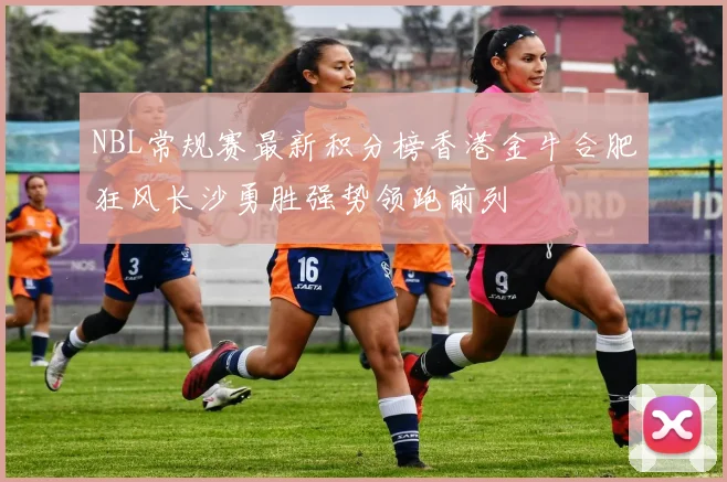NBL常规赛最新积分榜香港金牛合肥狂风长沙勇胜强势领跑前列