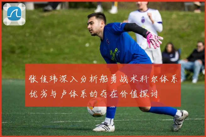 张佳玮深入分析船勇战术科尔体系优劣与卢体系的存在价值探讨