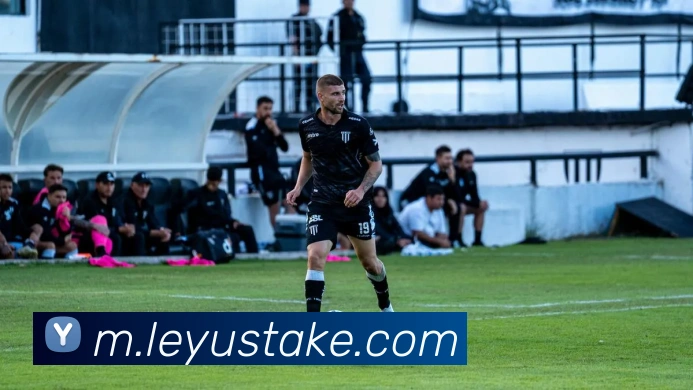 乐鱼体育平台生态图