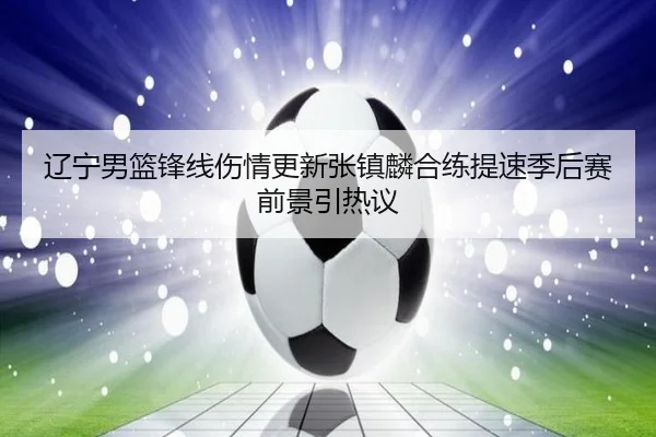 辽宁男篮锋线伤情更新张镇麟合练提速季后赛前景引热议（Leyu）